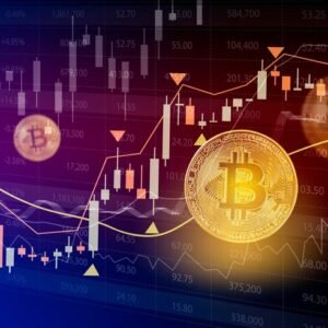 Why the Crypto Market is Excited About Trumps Victory