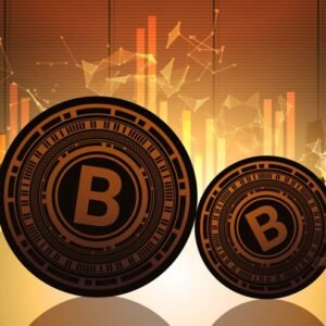 Bitcoin Surges Past $102K Ahead of Trump’s Inauguration: Key Drivers Behind the Rally