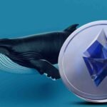 Bitcoin Grapples with Market Volatility: Price Reversal in Wake of Tariff Indecision and Institutional Withdrawal
