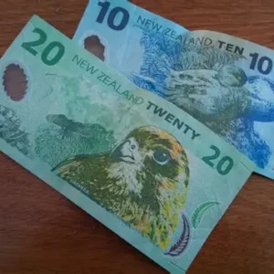 NZD/USD Forecast: Kiwi Dollar Rises as Investors Look to US NFP Data and Fed Rate Cut Prospects